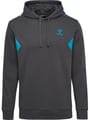 hmlSTALTIC COTTON HOODIE