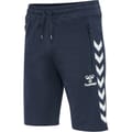 hmlRAY 2.0 SHORTS