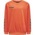 hmlPROMO KIDS POLY SWEATSHIRT