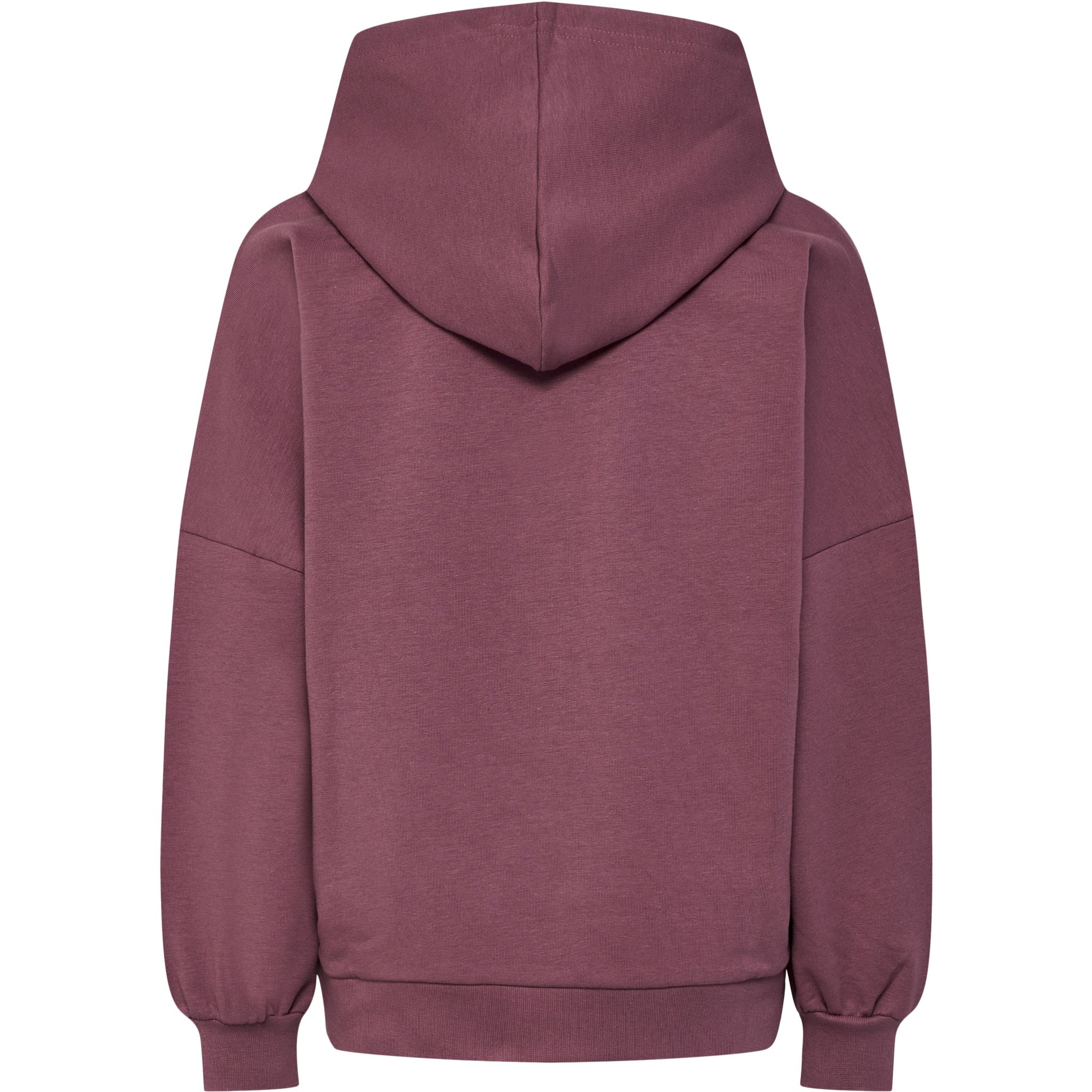 hmlOCTOVA HOODIE