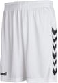 CORE POLY SHORTS