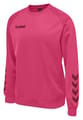 hmlPROMO KIDS POLY SWEATSHIRT