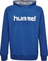 HMLGO KIDS COTTON LOGO HOODIE