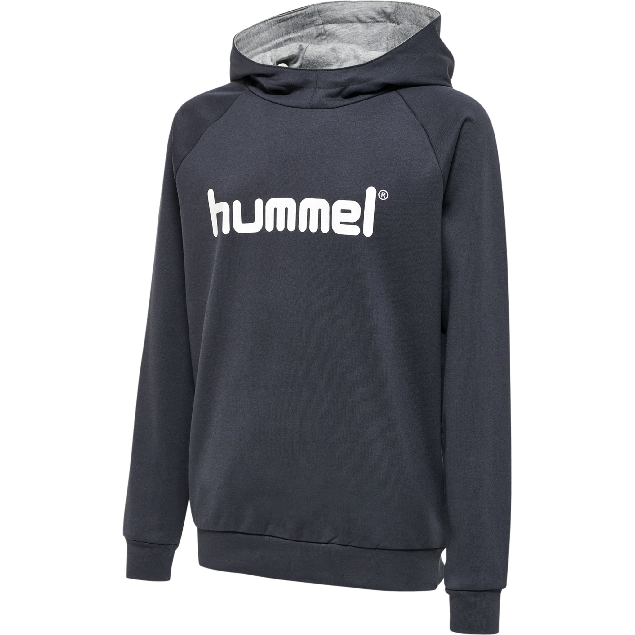 HMLGO KIDS COTTON LOGO HOODIE