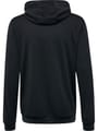 hmlAUTHENTIC PL HOODIE