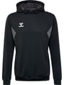 hmlAUTHENTIC PL HOODIE