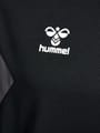 hmlAUTHENTIC PL HOODIE