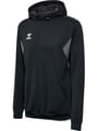hmlAUTHENTIC PL HOODIE