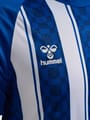 hmlMATCH STRIPED JERSEY S/S